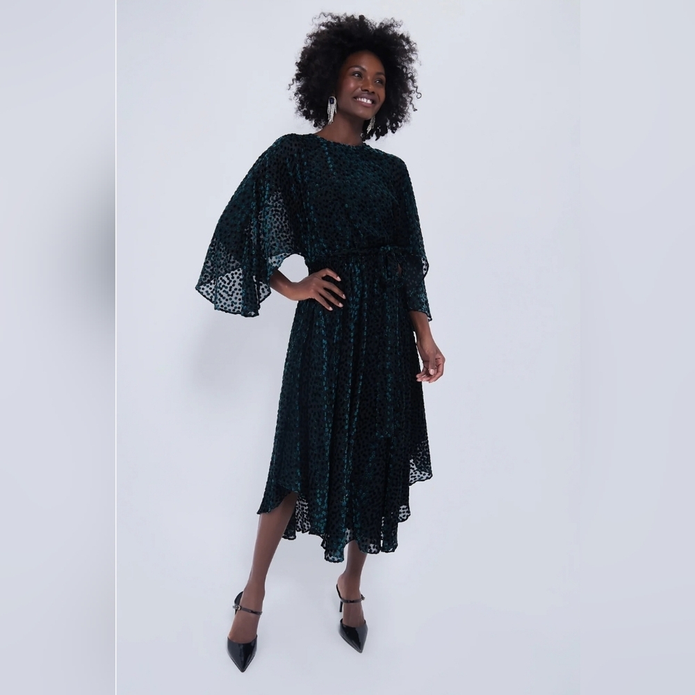 Tuckernuck Black Green Blue Flock Dot Velvet Katrina Dress XS